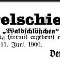 1900-06-11 Kl Waldschloesschen